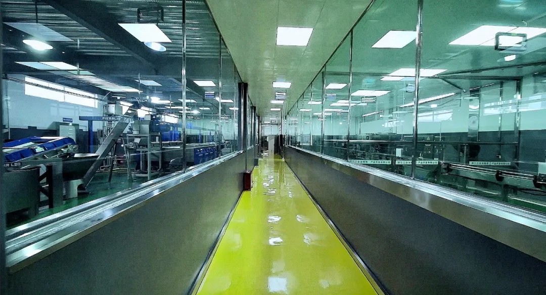 破繭化蝶!麗江油橄欖龍頭企業(yè)16年實現種產銷一體化_久顧橄欖油