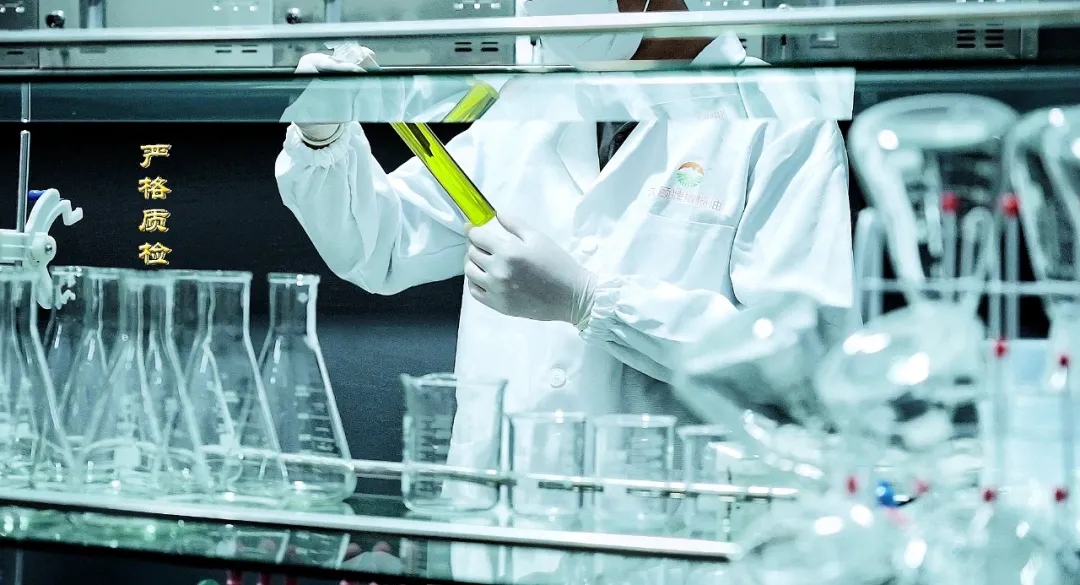 破繭化蝶!麗江油橄欖龍頭企業(yè)16年實現種產銷一體化_久顧橄欖油