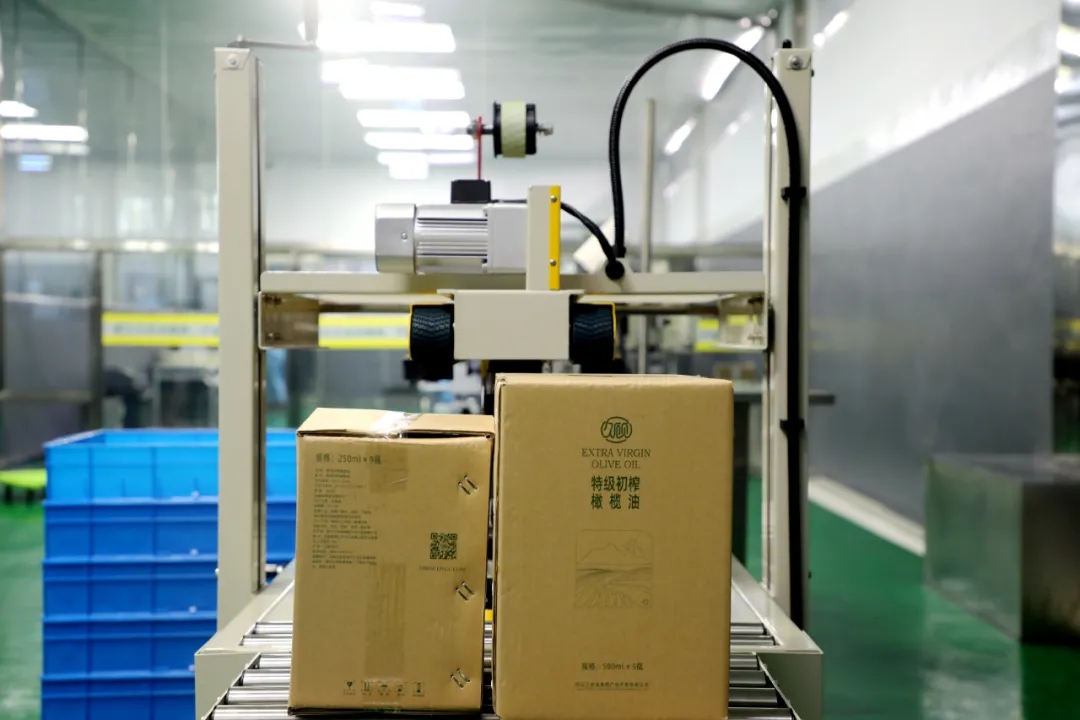 破繭化蝶!麗江油橄欖龍頭企業(yè)16年實現種產銷一體化_久顧橄欖油