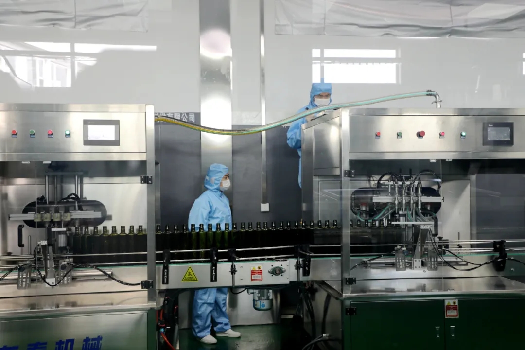 破繭化蝶!麗江油橄欖龍頭企業(yè)16年實現種產銷一體化_久顧橄欖油