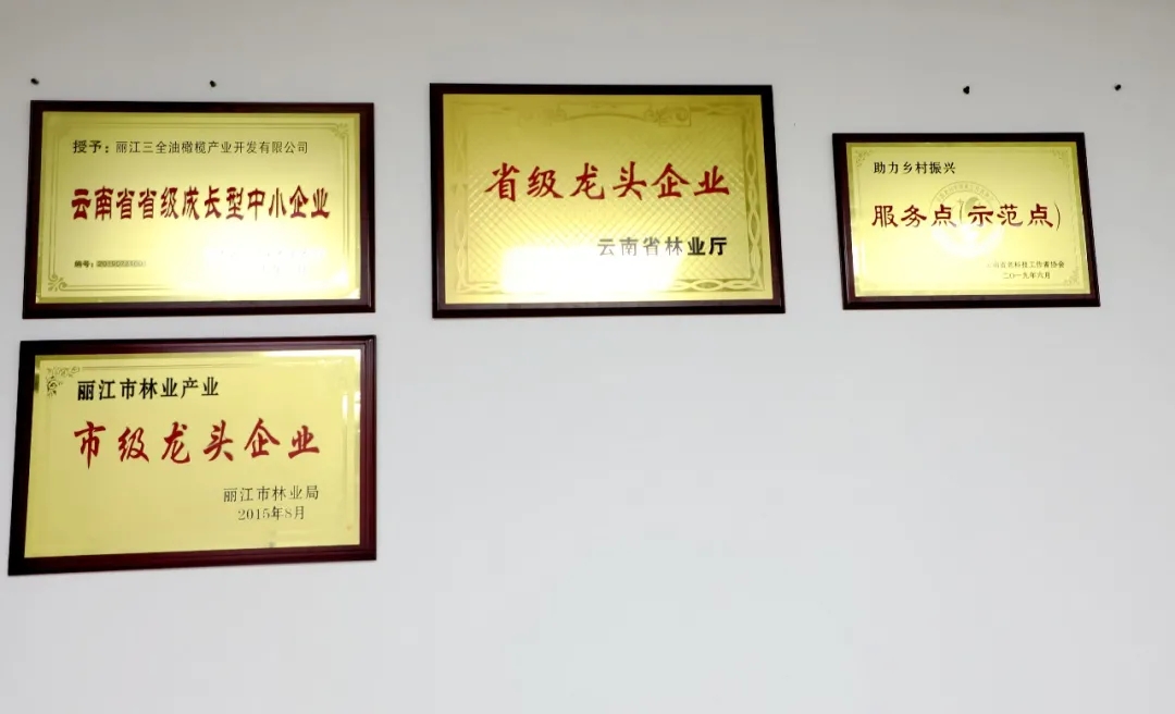 破繭化蝶!麗江油橄欖龍頭企業(yè)16年實現種產銷一體化_久顧橄欖油