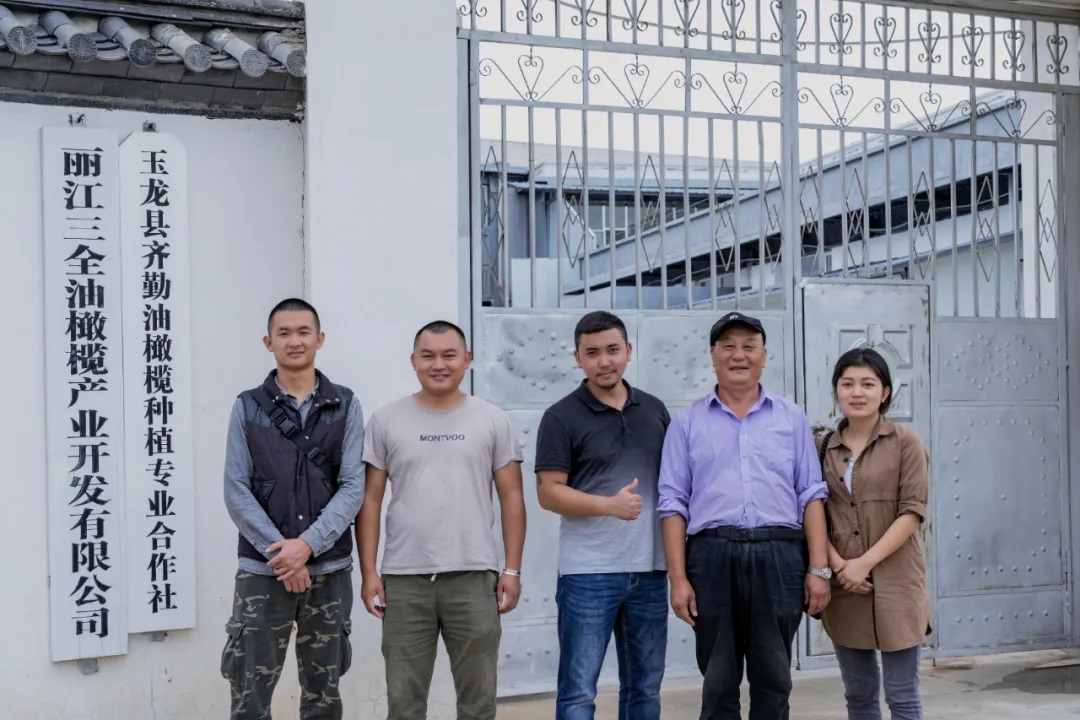 破繭化蝶!麗江這家油橄欖龍頭企業(yè)歷時(shí)16年實(shí)現(xiàn)種產(chǎn)銷一體化