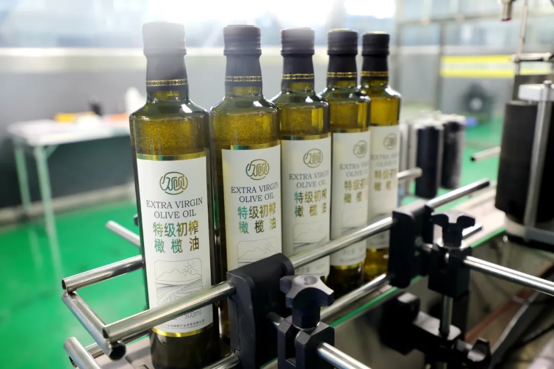 破繭化蝶!麗江油橄欖龍頭企業(yè)16年實現種產銷一體化_久顧橄欖油